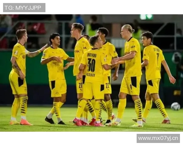 球队晋级德甲联赛的视频精彩回放与解说